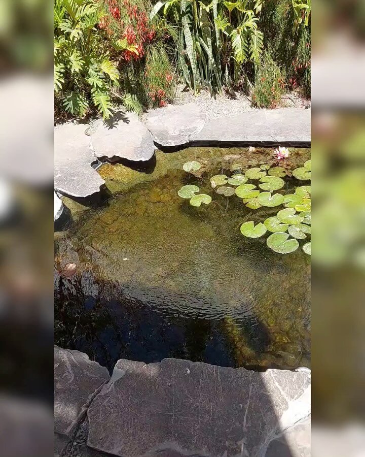 Instagram post from espacios.vivos. This post is in position 4.