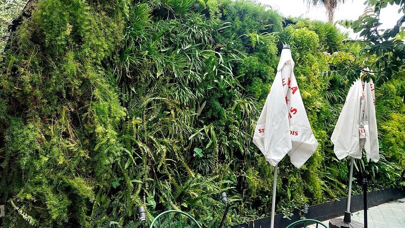 Instagram post from espacios.vivos. This post is in position 2.