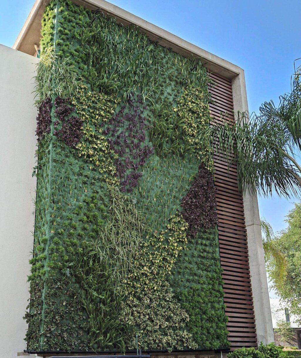 Instagram post from espacios.vivos. This post is in position 5.